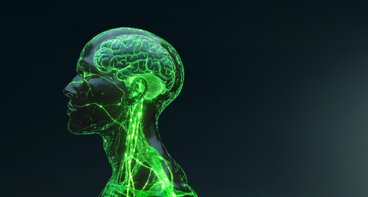 How to Massage the Vagus Nerve - Vagus Insider