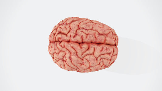 Personalized Pain Relief: Tailoring Nerve Stimulation Therapy to Individual Needs