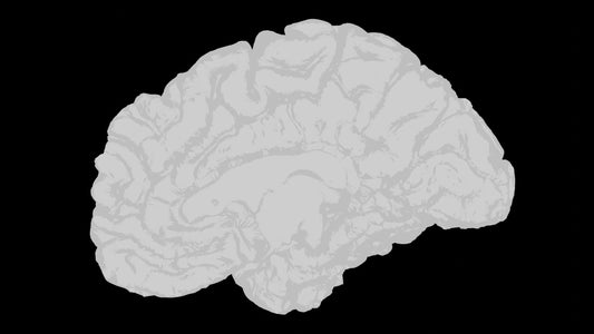How Nerve Stimulation Therapy Retrains Your Nervous System