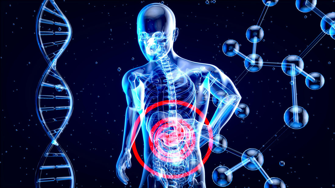 How To Improve Gut Health: 5 Ways to Do It Naturally