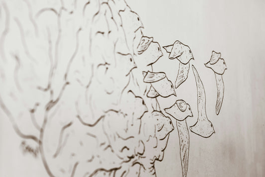 Biohacking for Cognitive Performance: Boosting Brain Function with Nootropics and Smart Drugs