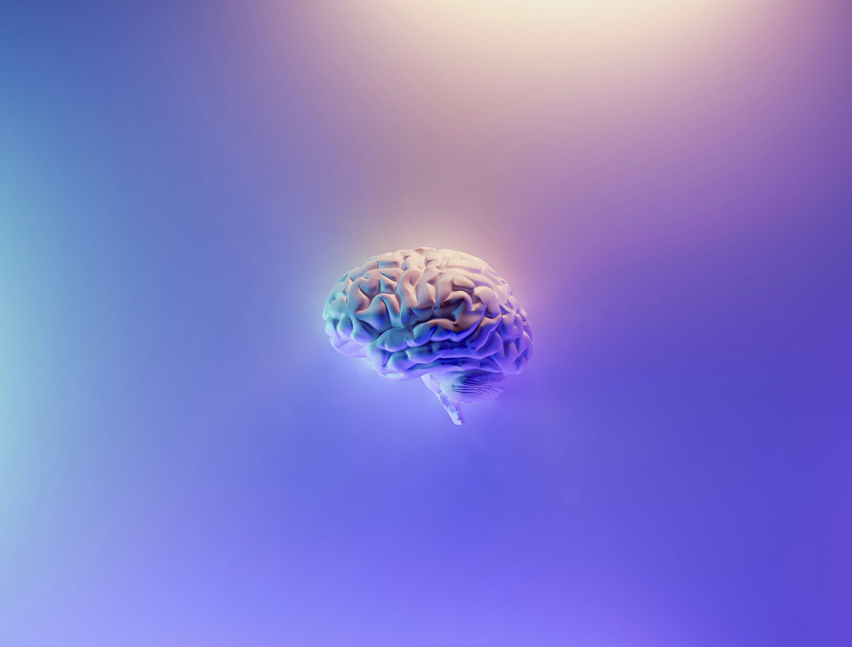 Best Vagal Stimulation Methods in 2026 - Vagus Insider