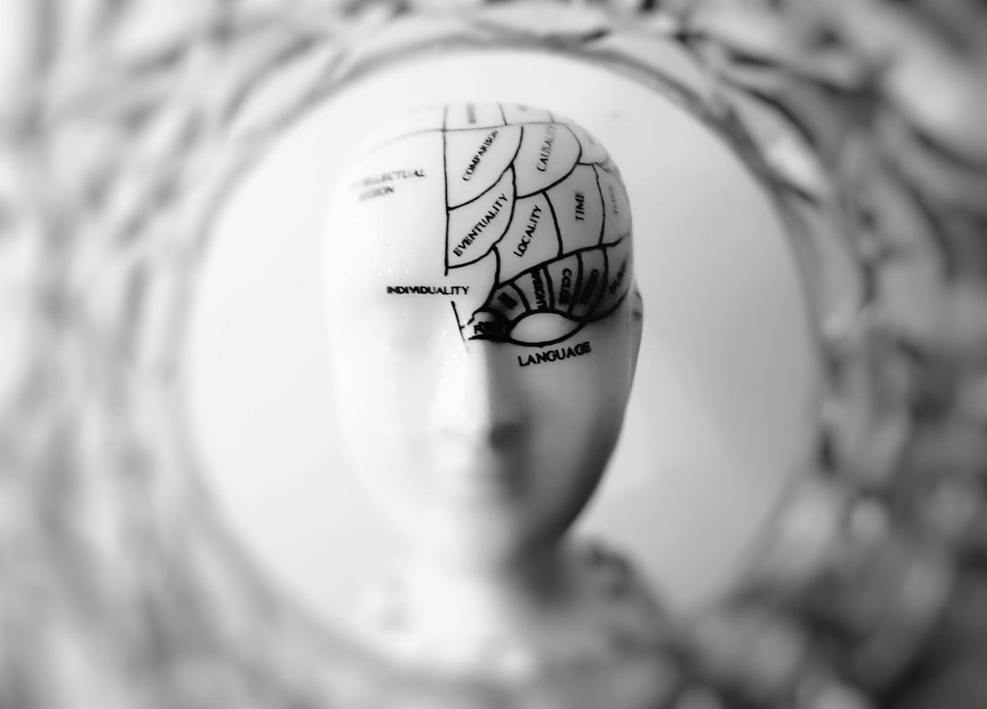 Best Vagus Nerve Massage in 2026
